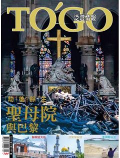 2019 年 05 月號 - 劫後餘生 聖母院與巴黎