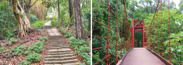 老崎步道、楓林吊橋