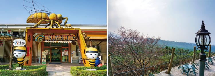 古坑咖啡、蜜蜂故事館