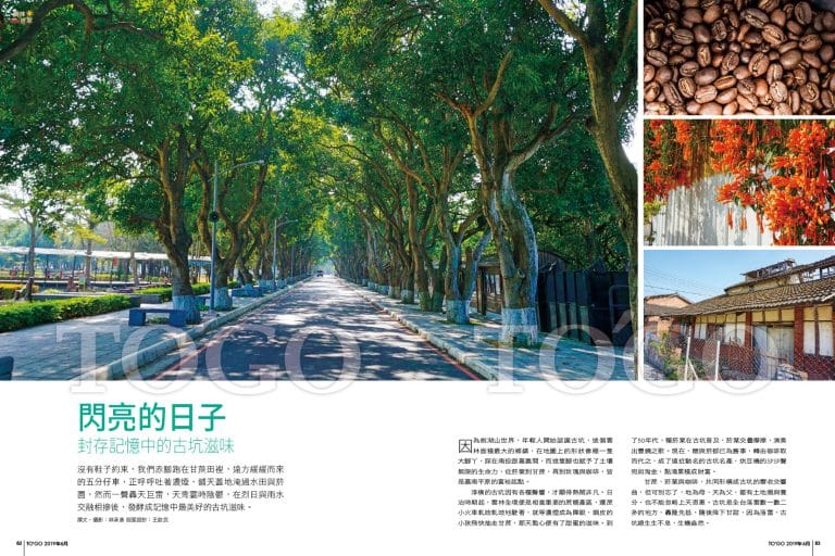 閃亮的日子 封存記憶中的古坑滋味