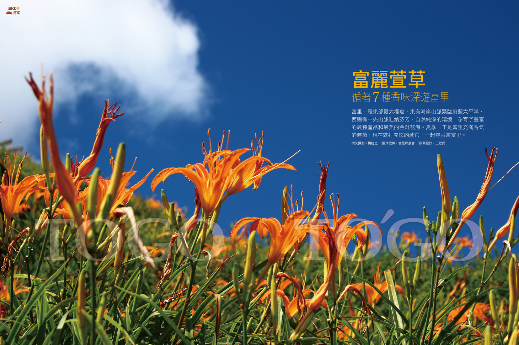 富麗萱草 循著7種香味深遊富里
