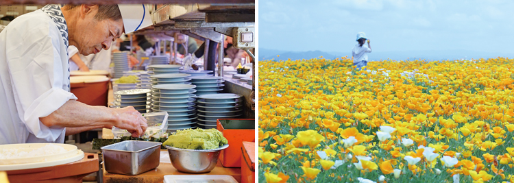 厲害了,日韓旅遊必勝App!MapFan、Naver Map、乘換案內、食べログ、Mango Plate、黃油相機、PicSee