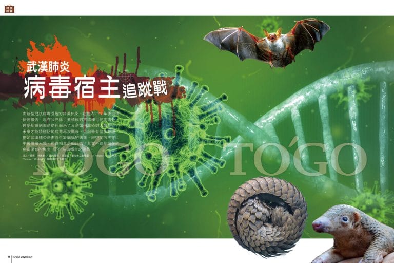 武漢肺炎病毒宿主追蹤戰