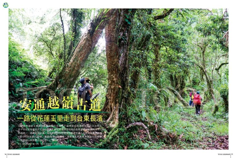 安通越嶺古道 一路從花蓮玉里走到台東長濱