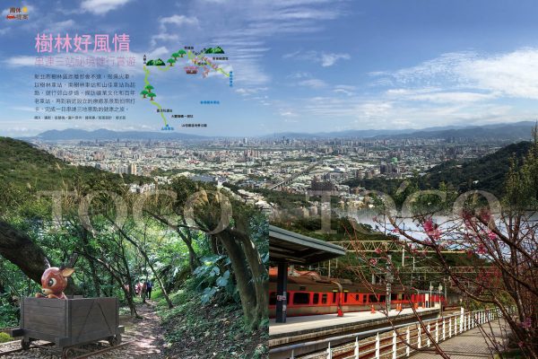 樹林好風情 串連三站祕境健行賞遊