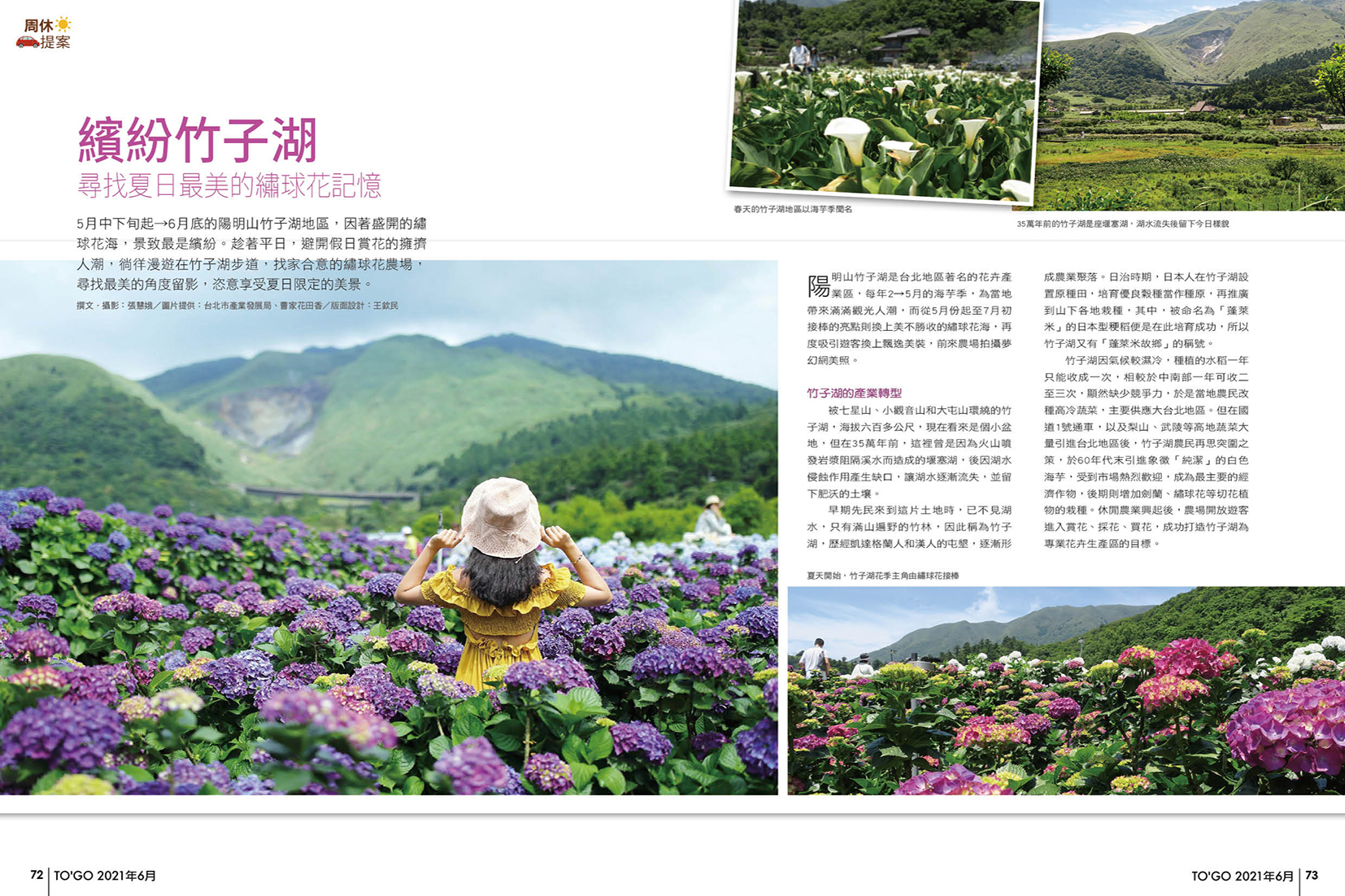 繽紛竹子湖 尋找夏日最美的繡球花記憶