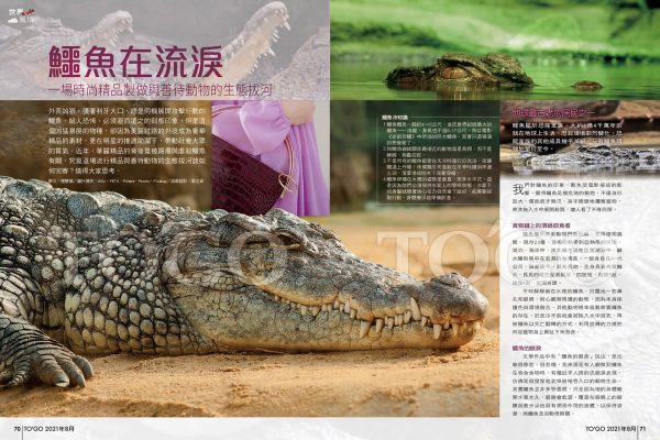 鱷魚在流淚 一場時尚精品製做與善待動物的生態拔河