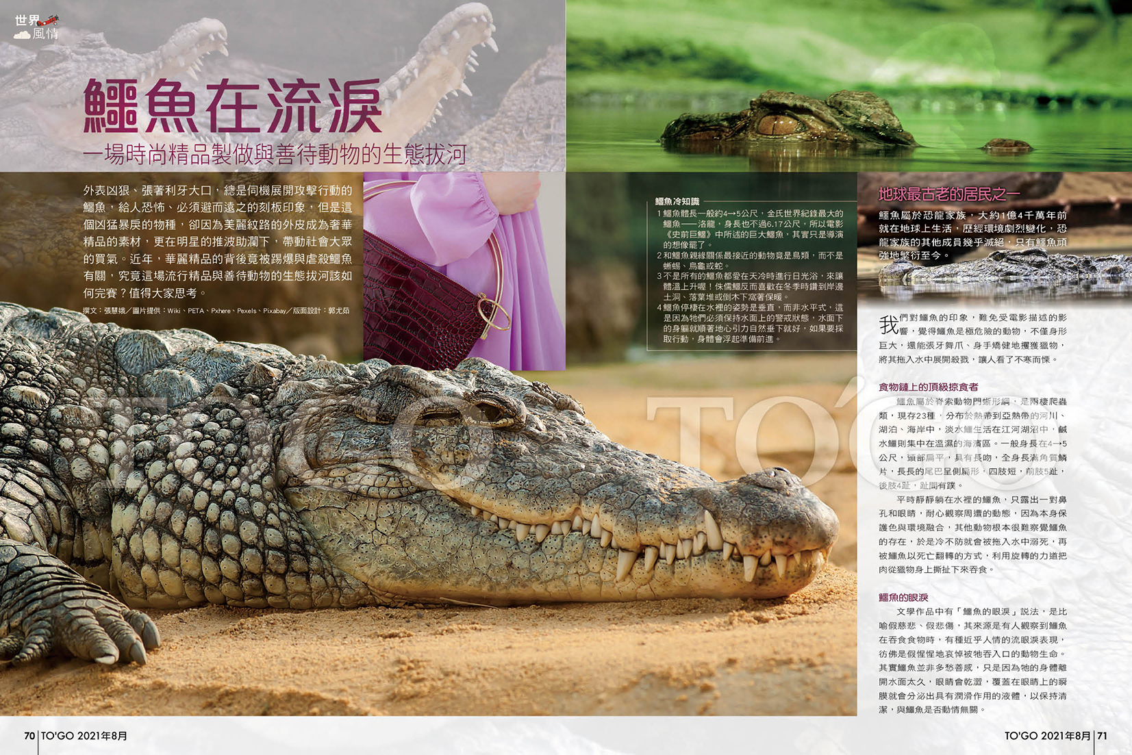 鱷魚在流淚 一場時尚精品製做與善待動物的生態拔河