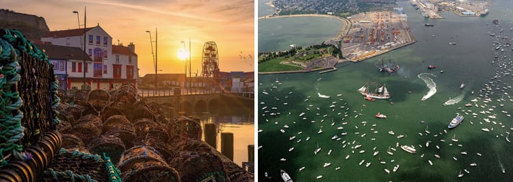 美味海老 台灣進口龍蝦大比拼