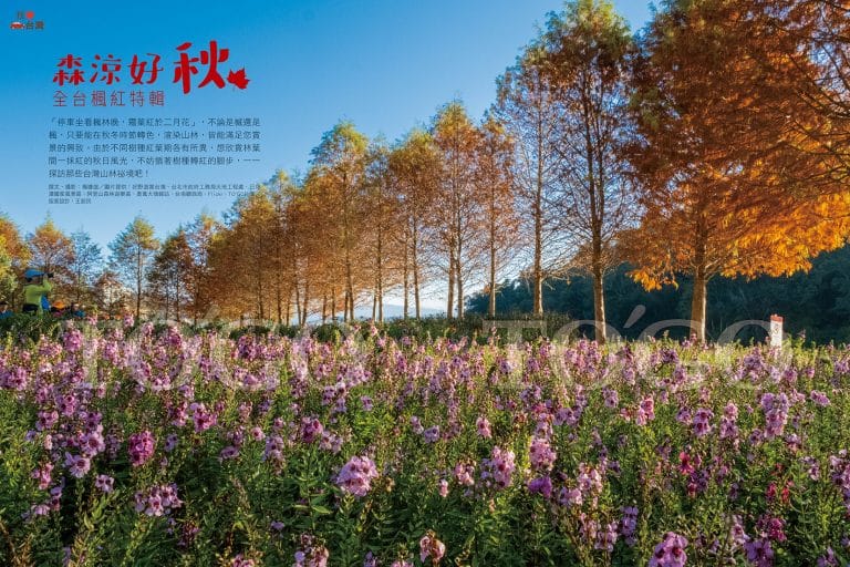 森涼好秋 全台楓紅特輯