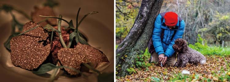 儀式感主角 松露.鵝肝.魚子醬提升奢華品味