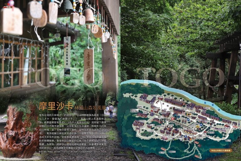 摩里沙卡 林田山森坂風華