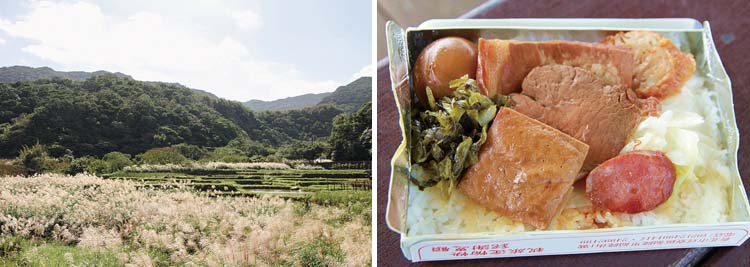 草嶺古道 東北角賞芒健行步道