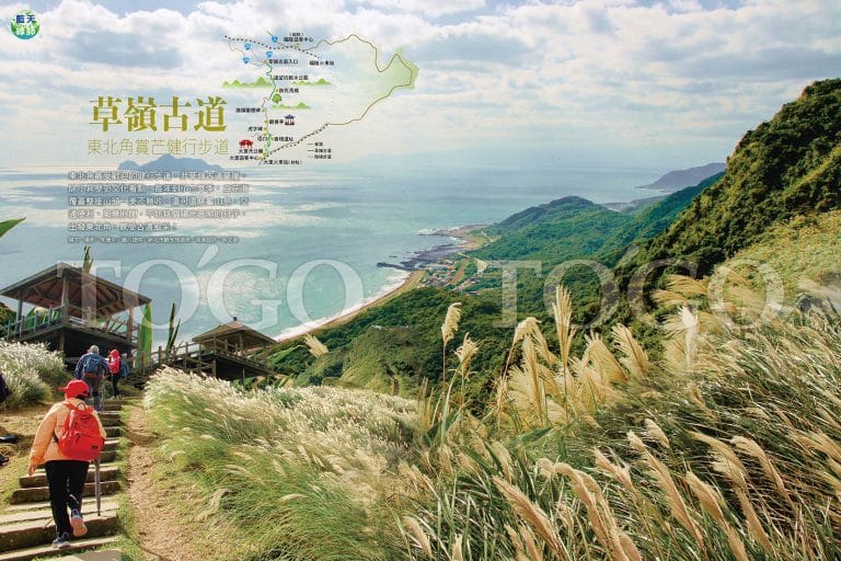 草嶺古道 東北角賞芒健行步道