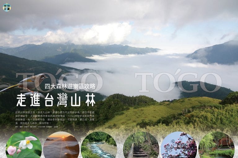 走進台灣山林 四大森林遊樂區攻略