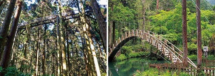 溪頭自然教育園區