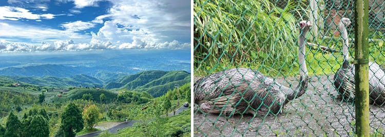 國立自然科學博物館、鳳凰谷鳥園