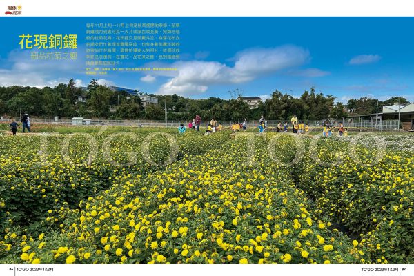 花現銅鑼 細品杭菊之鄉