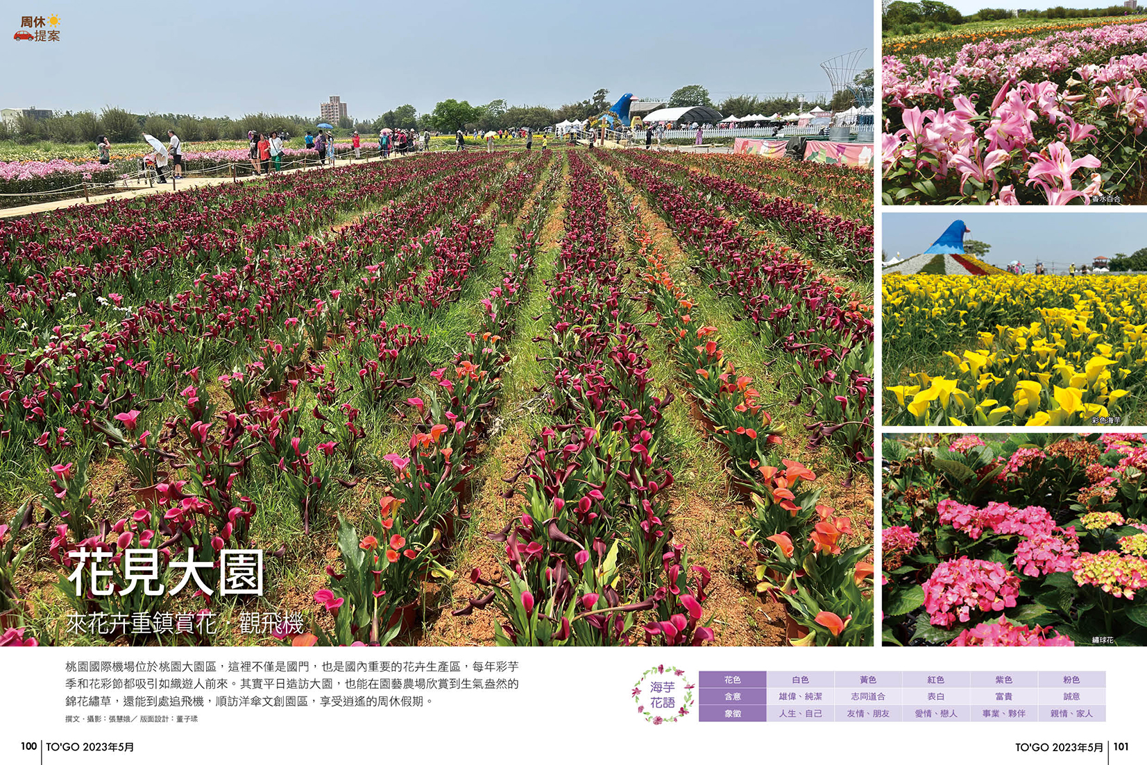 花見大園 來花卉重鎮賞花．觀飛機
