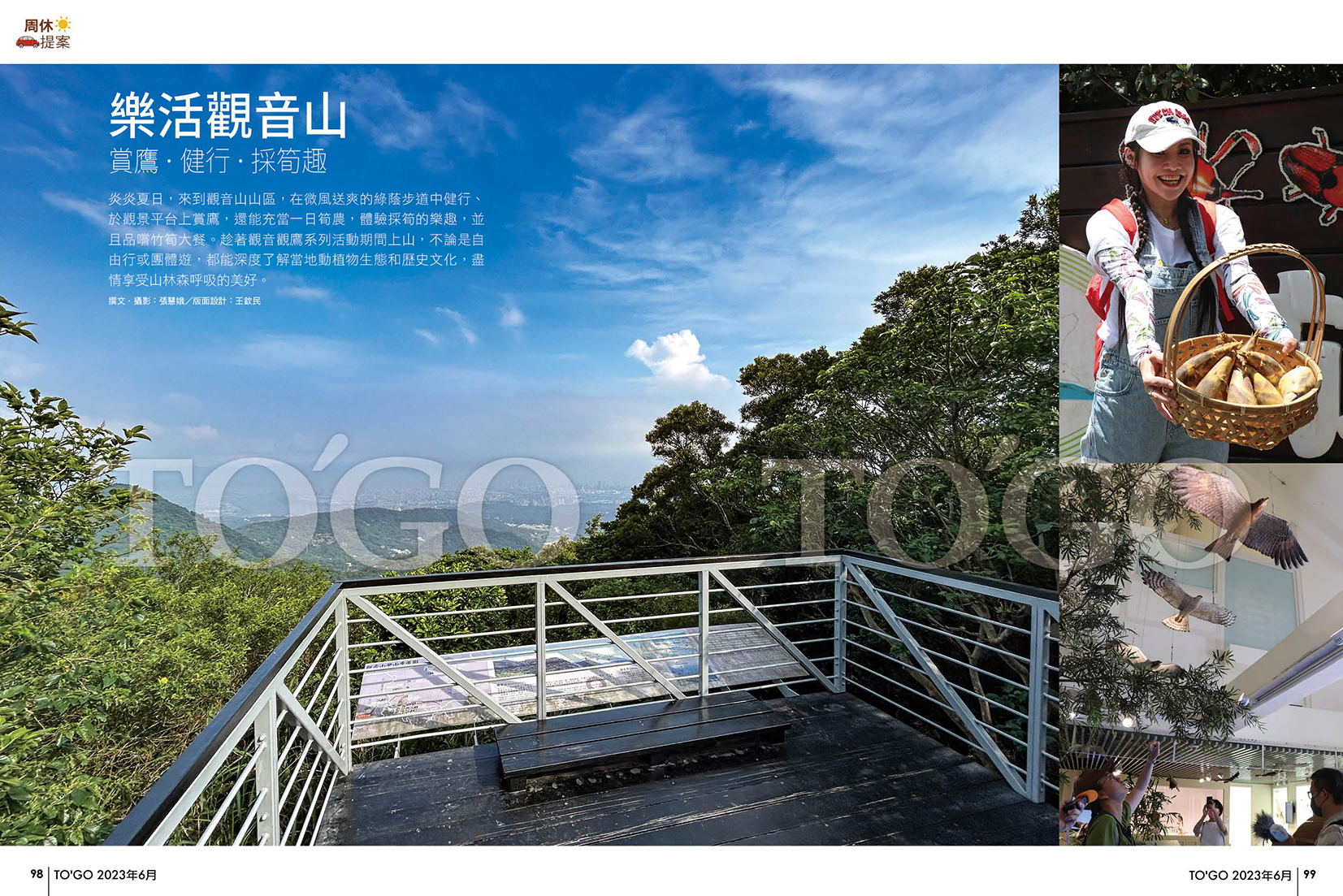 樂活觀音山 賞鷹．健行．採筍趣