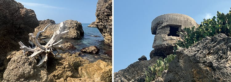 熱門郊山壽山　轉角遇見阿朗壹
