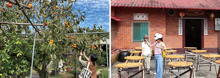 味衛佳柿餅教育農園