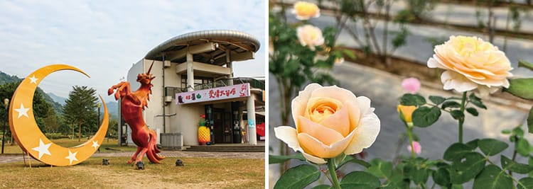 曙光玫瑰療育莊園