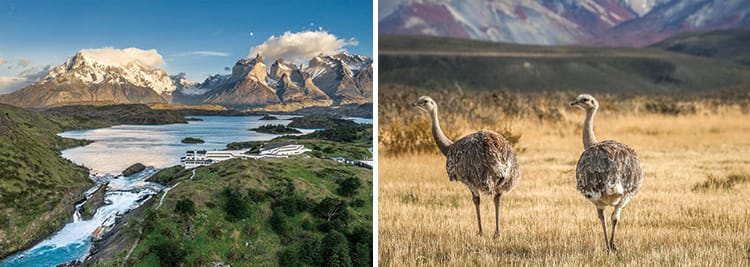 智利百內國家公園