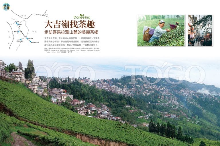 大吉嶺找茶趣 走訪喜馬拉雅山麓的美麗茶鄉