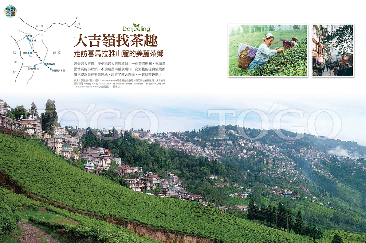 大吉嶺找茶趣 走訪喜馬拉雅山麓的美麗茶鄉