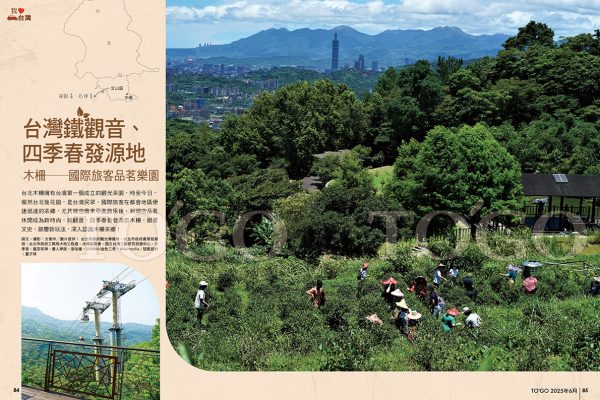 台灣鐵觀音四季春發源地 木柵——國際旅客品茗樂園