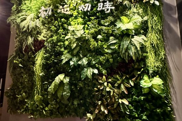 店內主打選用在地食材、綠意盎然的用餐空間