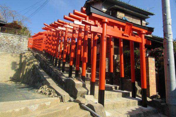 「大島神社」的參道上的67座朱紅色鳥居隨著坡道綿延而上，是在地人才知道的打卡景點。