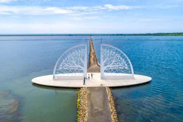 青鯤鯓扇型鹽田的「生命之樹」是近年熱門的觀光景點