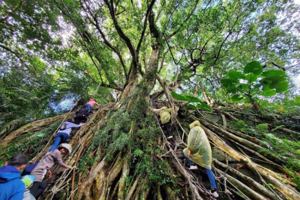 台東縣延平鄉鸞山部落（Sazasa）