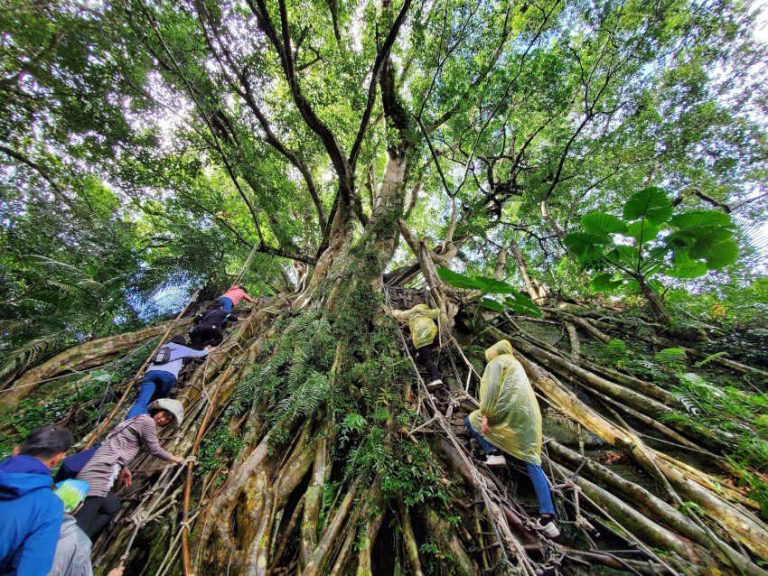 台東縣延平鄉鸞山部落（Sazasa）