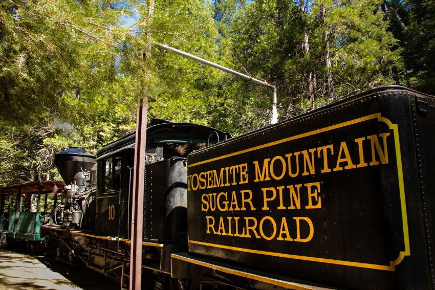 加州優勝美地糖松鐵道旅行