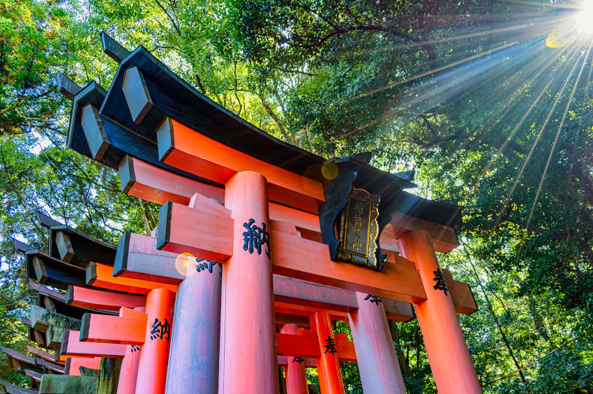 日本超過1/3神社皆奉祀稻荷神,伏見稻荷大社為總本社,地位舉足輕重