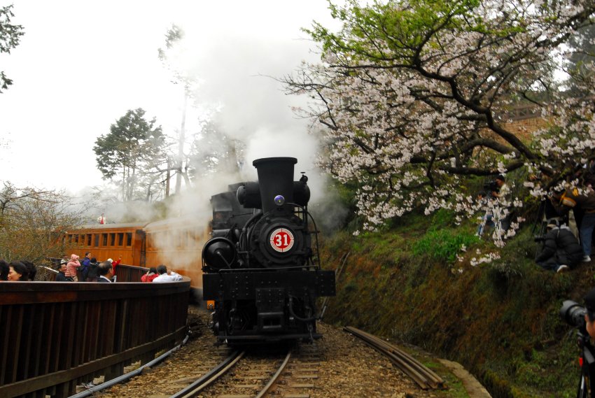 蒸汽火車曾是山林中的運輸主力