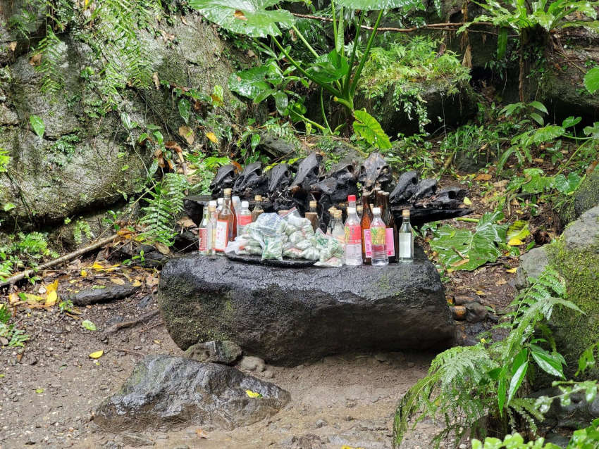 以檳榔及小米酒為供品的土地祭儀