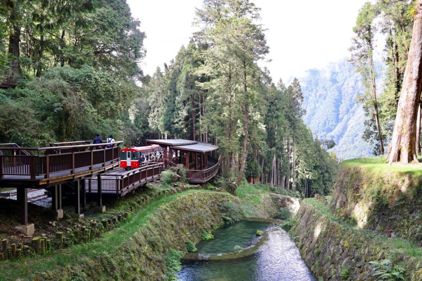 3. 阿里山豐富的觀光資源受到世界各國的大力推崇