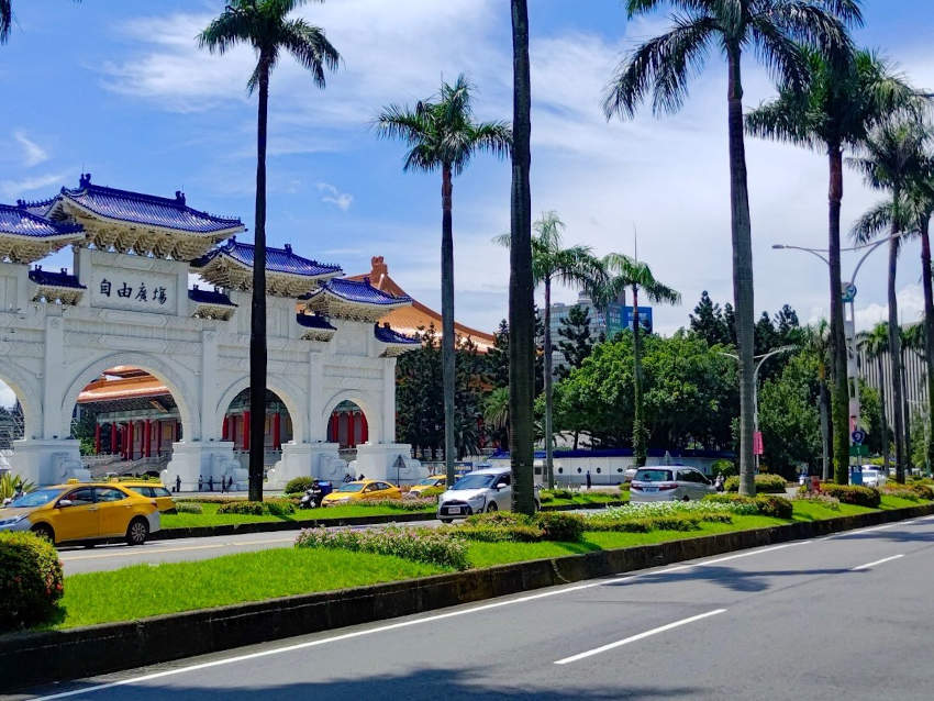 中正紀念堂前日日春與兩側高聳的棕櫚樹相互輝映。