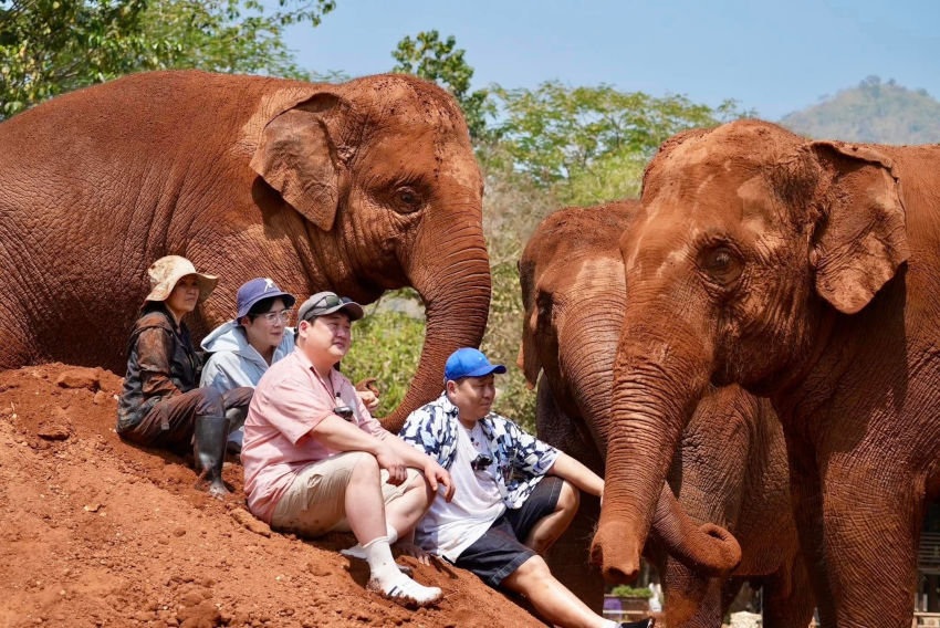 大象自然公園(Elephant Nature Park)的宗旨之一是讓民眾學習如何與自然相處