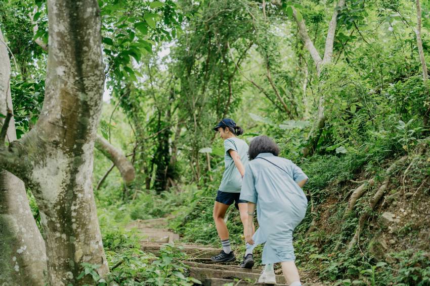 朝陽步道原生態豐富，也是瀕危動物台灣穿山甲喜愛棲息之處。