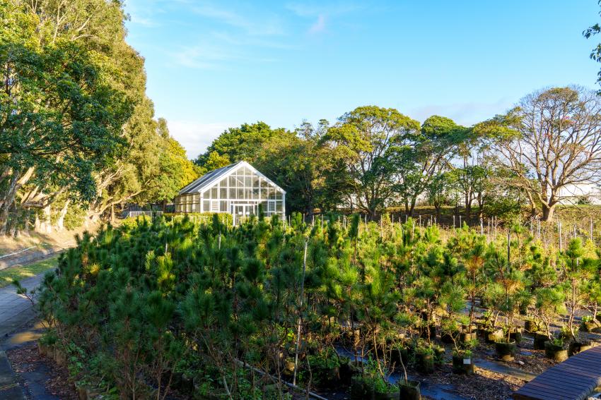 園區內的景觀溫室和大片苗園構成美麗風景
