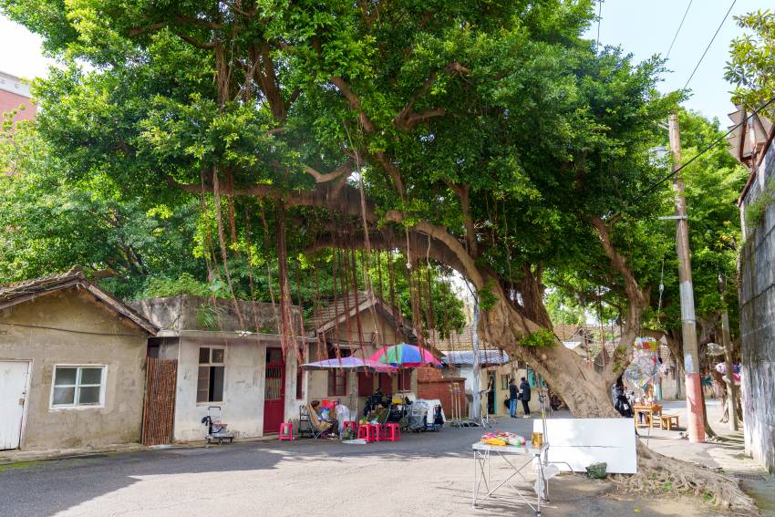 村內的榕樹廣場仍保留著濃濃的人情味