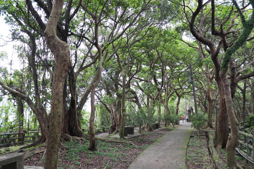 仙洞公園綠意盎然，並設有許多座椅提供休息