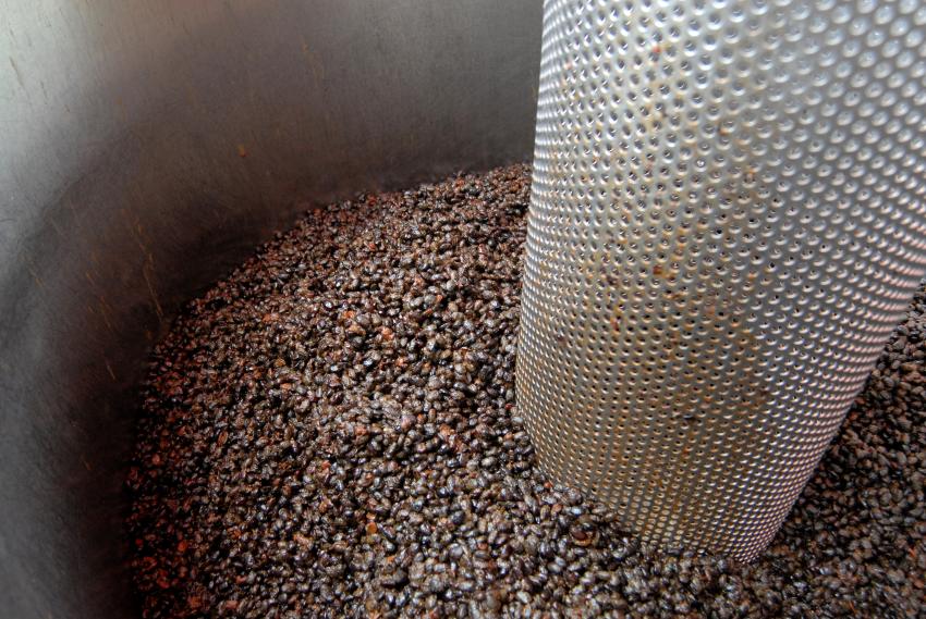 正港麻油廠：現場亦可參觀傳統的醬油釀造工法