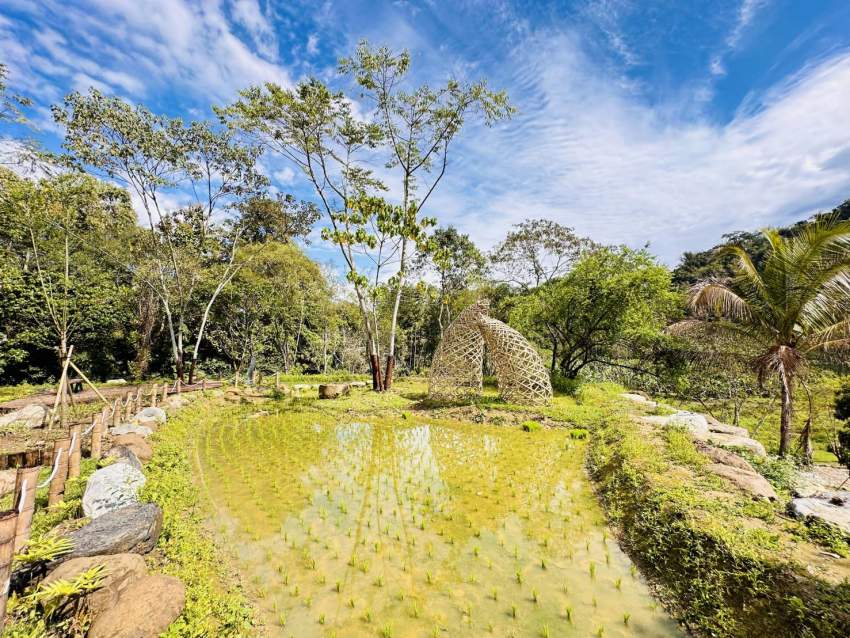 水梯田就地取材以竹材編織意象，並種植在地特色米種，展現在地產業特色。
