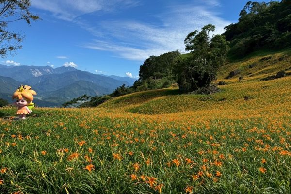 金針花海盛放　走進山林體驗在地永續旅遊